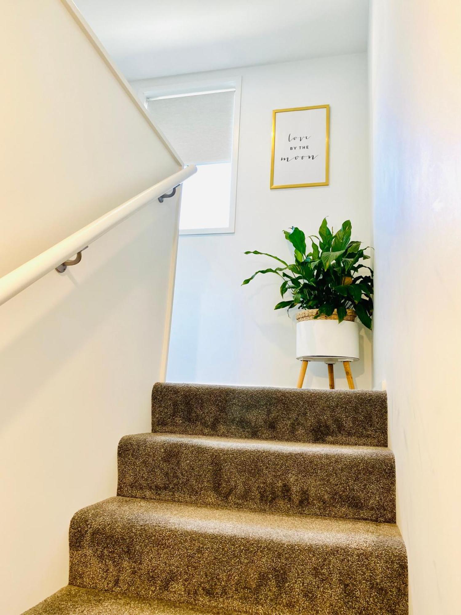 Perfect Modern Townhouse Cbd クライストチャーチ エクステリア 写真